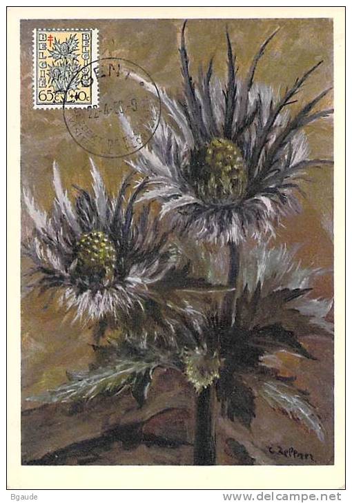 BELGIQUE CARTE MAXIMUM   NUM.YVERT  815 FLEURS   PANICAUT DES DUNES - 1934-1951