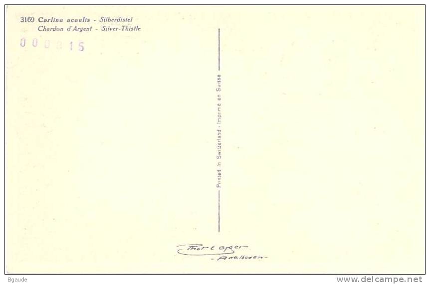 BELGIQUE CARTE MAXIMUM   NUM.YVERT  815 FLEURS   PANICAUT DES DUNES - 1934-1951