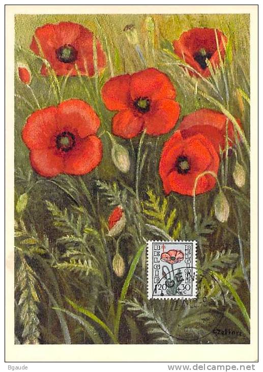 BELGIQUE CARTE MAXIMUM   NUM.YVERT  817 FLEURS   COQUELICOTS - 1934-1951