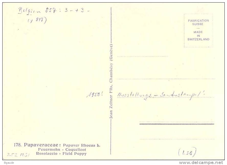 BELGIQUE CARTE MAXIMUM   NUM.YVERT  817 FLEURS   COQUELICOTS - 1934-1951