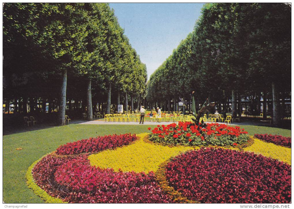 VICHY 03, LE PARC DU CASINO - Vichy