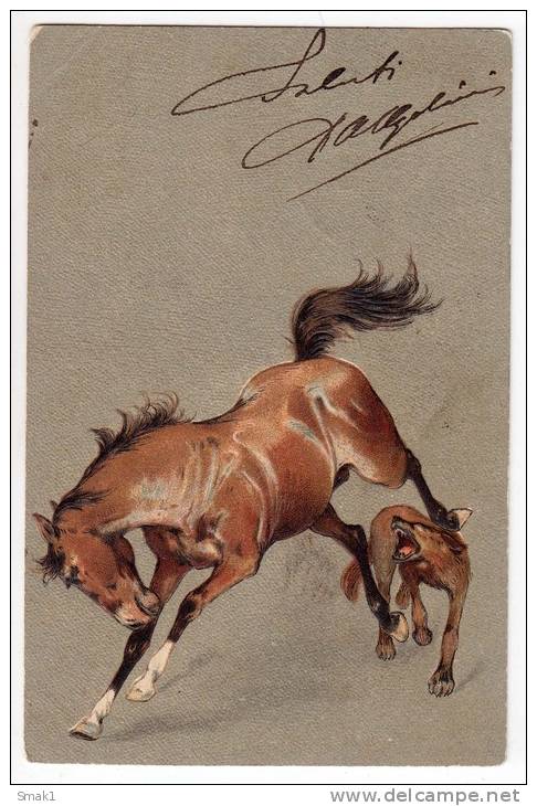 ANIMALS HORSES HORSE AND A DOG RELIEF SERIE 2108 OLD POSTCARD 1903. - Pferde