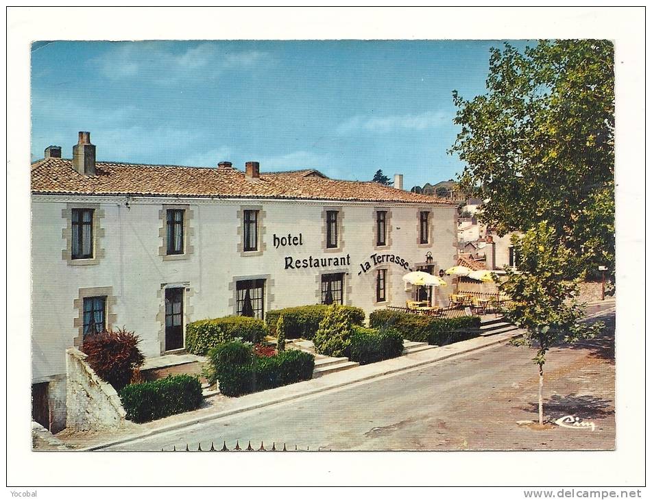 Cp, 79, Mauléon, Hôtel De La Terrasse, Place La Terrasse - Mauleon