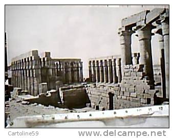 EGITTO EGYPT  LUXOR TEMPLE TEMPLI  N1930 EC11648 - Louxor