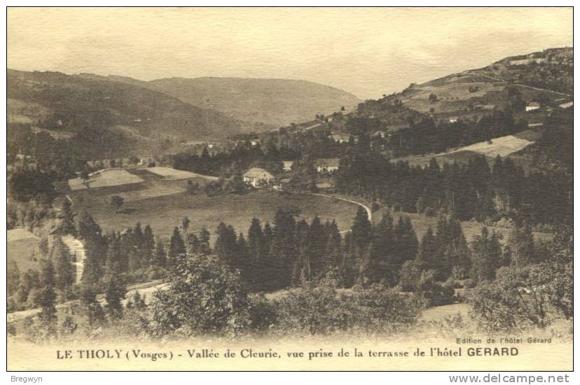 88 - CPA Le Tholy - Vallée De Cleurie, Vue Prise De La Terrasse De L'Hôtel Gérard - Le Thillot