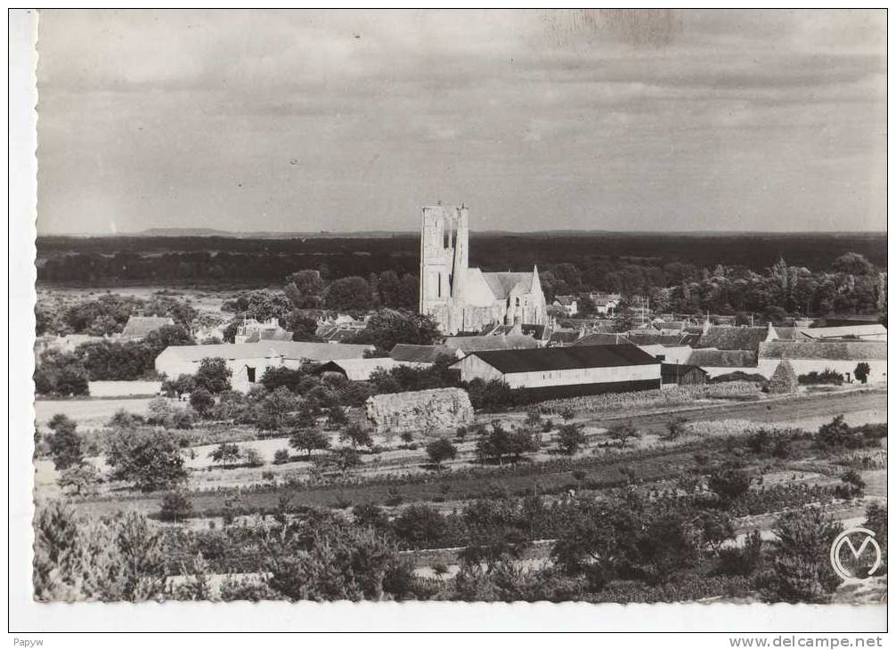 Larchant Vue Generale - Larchant