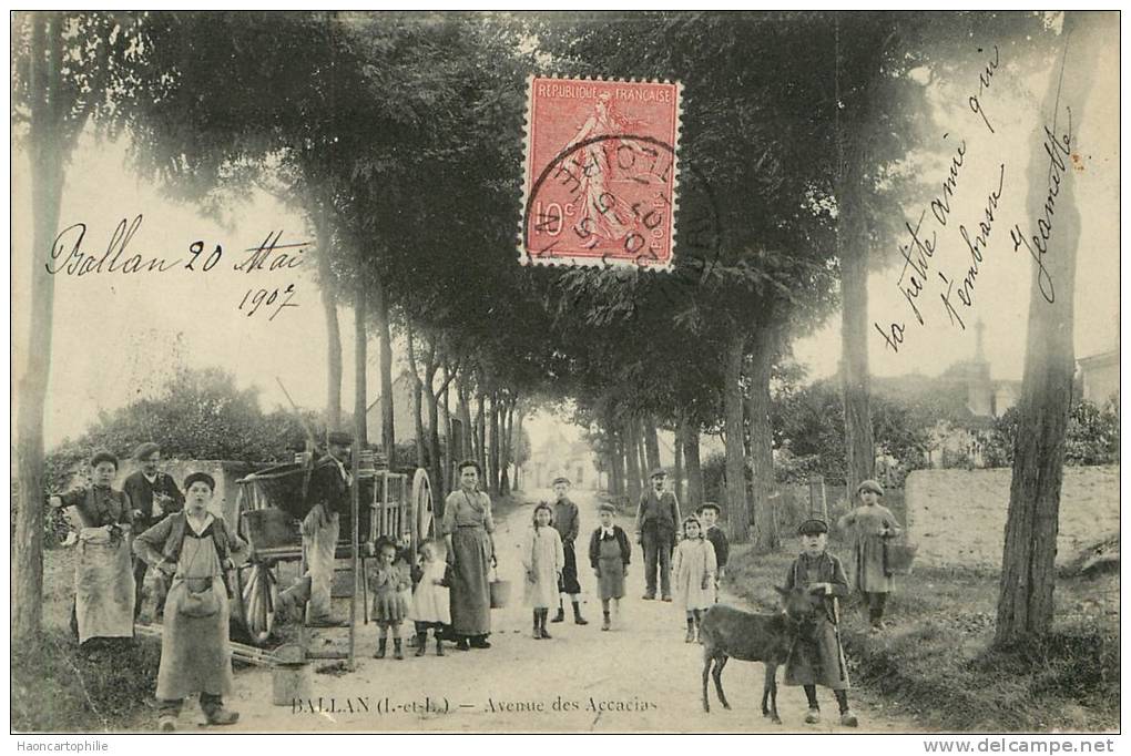 Ballan :avenue Des Accacias - Ballan-Miré