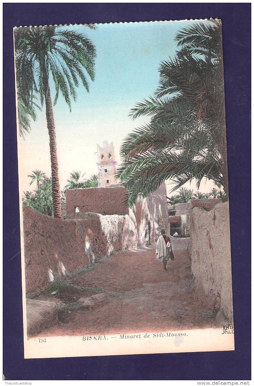 CPA ALGERIE ALGERIA No193 BISKRA MINARET DE SIDI-MOUSSA CHEAP ALGERIA LISTED - Biskra