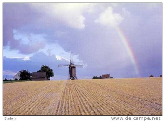 HUISE Bij Zingem (O.Vl.) - Molen/moulin - De Huisekoutermolen Met Regenboog En Agrarische Omgeving (1976). TOPKAART! - Zingem