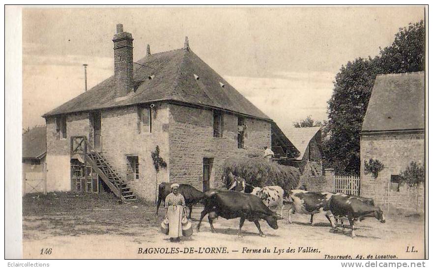 Bagnoles De L'Orne   61   Ferme Du Lys Des Vallées - Bagnoles De L'Orne