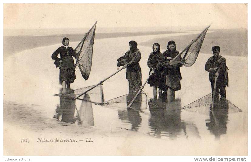 Thème  Pêche A Pieds   Crevettes    62  Pêcheur Et Pêcheuse - Pêche