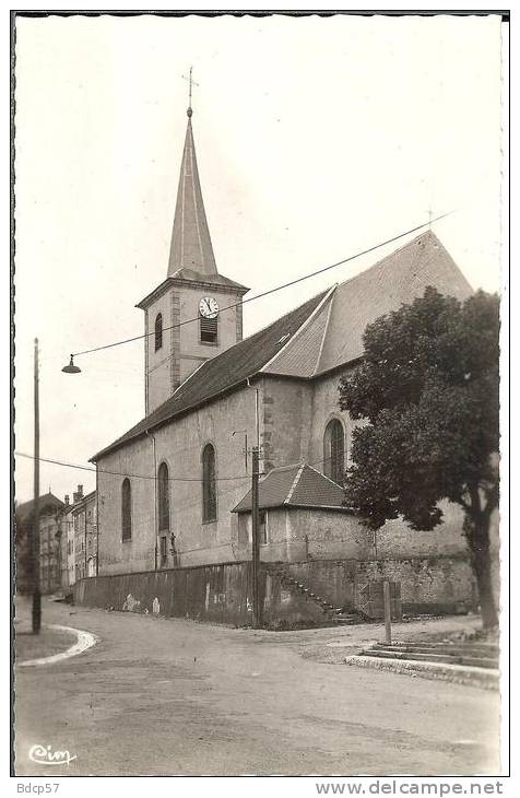 57 - Moselle -  LORQUIN - Eglise - Dentelée - Format  8,8  X  13 ,9 - Lorquin