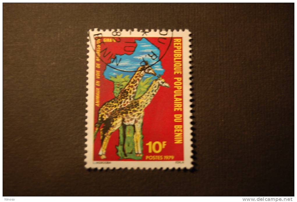 Benin 1 Valore Usato Giraffe - Giraffes