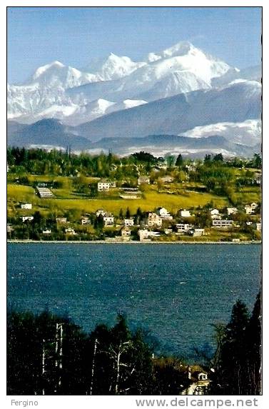 8026/BE - GENEVE (SVIZZERA) - Le Mont Blanc Et Le Coteau De Cologny - Cologny