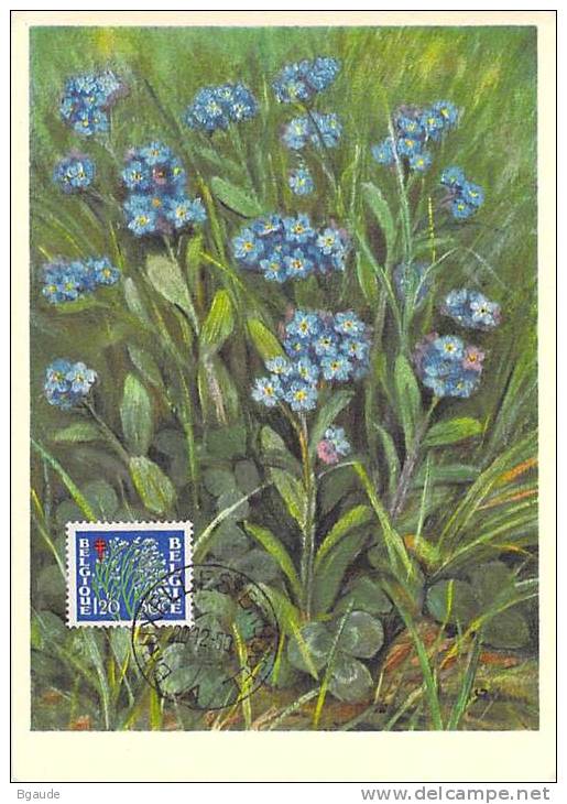 BELGIQUE CARTE MAXIMUM  NUM.YVERT  837 FLORE FLEUR MYSOTIS DES DUNES - 1934-1951