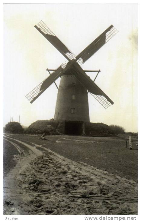 OVERPELT (Limburg) - Molen/moulin - Maxikaart Van De Molen Van Leyssen In Bedrijf Met Volle Zeilen (1926). Thans Romp - Overpelt