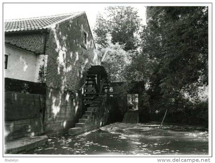 NIEUWERKERKEN - Binderveld (Limburg) - Molen/moulin - Echte Foto 18x24 Cm. Van De Elsbroekmolen In 1981 - Lieux