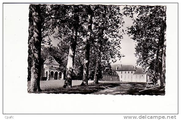 Carte 1950 BRANGUES / AVENUE DU CHATEAU - Brangues