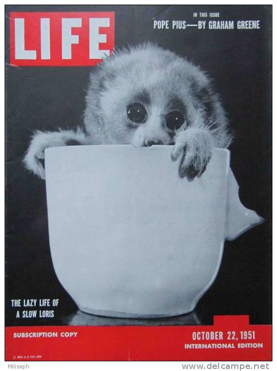 Magazine LIFE - OCTOBER 22 , 1951 - INTERNATIONAL EDITION -             (2997) - Nouvelles/ Affaires Courantes