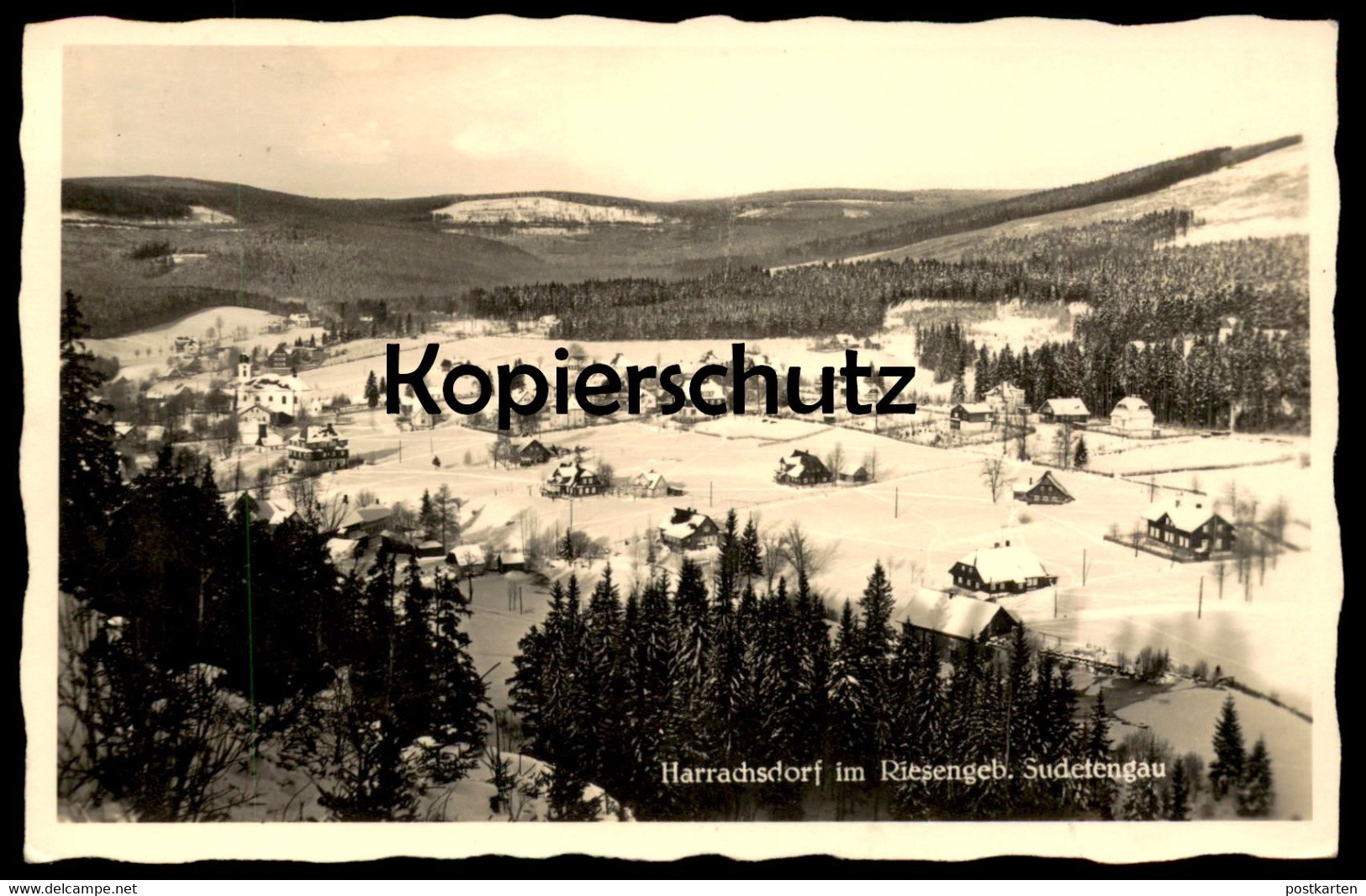 ALTE POSTKARTE HARRACHSDORF RIESENGEBIRGE Harrachov Krkonose Karkonosze Sudetengau Stempel Sport-Lehrgang Postcard Cpa - Sudeten