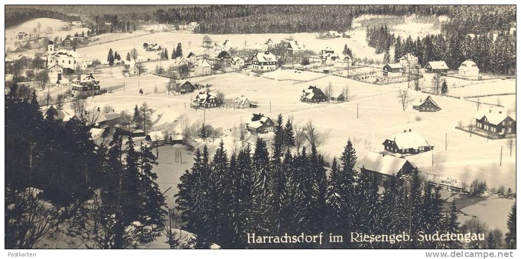 ALTE POSTKARTE HARRACHSDORF RIESENGEBIRGE Harrachov Krkonose Karkonosze Sudetengau Stempel Sport-Lehrgang Postcard Cpa - Sudeten