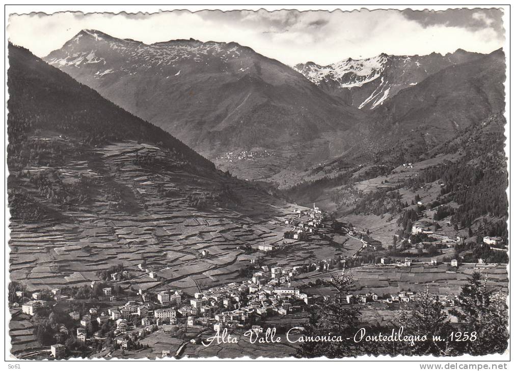 2006.   Alta Valle Camonica - Pontedilegno - Brescia - 1954 - Other & Unclassified