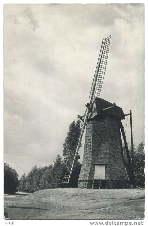 Arendonk :    Smoutmolen  Of  '  De Toreman    ' - Arendonk