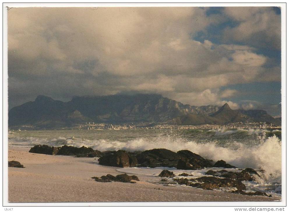 - South Africa. - CAPE TOWN - Table Mountain From Melkbostrand - Scan Verso - - Afrique Du Sud