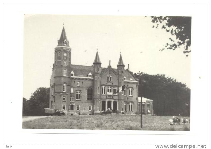 WINGENE - Kasteel Van Wildenburg  (Y241) - Wingene