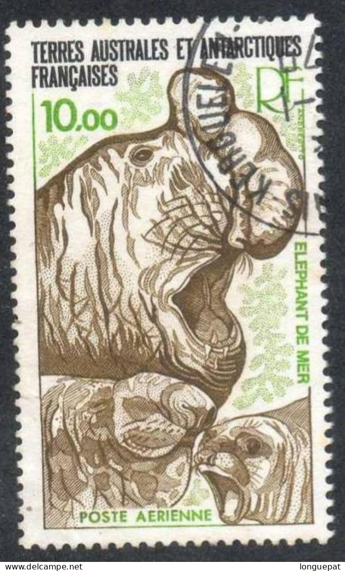 T.A.A.F : Eléphant De Mer (Mirounga Leonina) - Mannifères - Grand Phoque - - Used Stamps