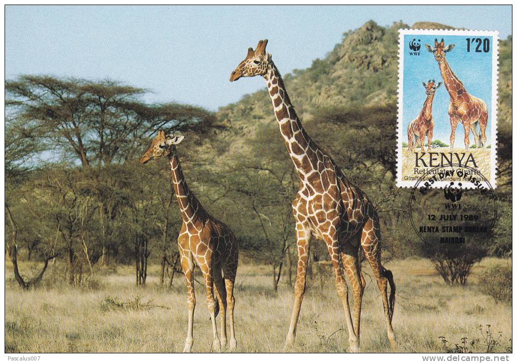 WWF - 084,31 - CM-MC - € 1,47 - 12-7-1989 - 1´20 - Reticulated Giraffe - Kenya 1081212 - Kenya (1963-...)