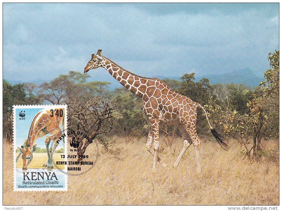 WWF - 084,32 - CM-MC - € 1,56 - 12-7-1989 - 3´40 - Reticulated Giraffe - Kenya 1081212 - Kenia (1963-...)