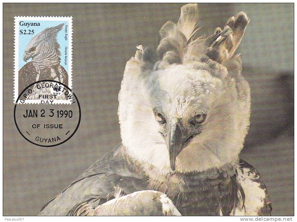 WWF - 089,31 - CM-MC - € 1,00 - 23-1-1990 - $2,25 - Harpy Eagle - Guyana 1095212 - Guyane (1966-...)