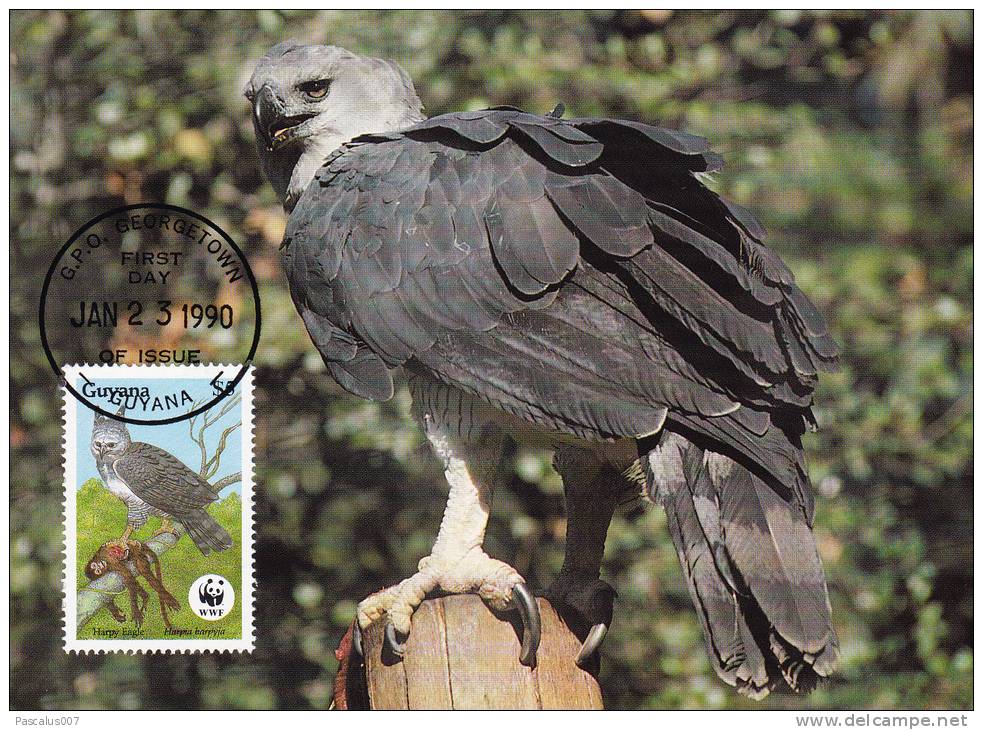 WWF - 089,32 - CM-MC - € 1,06 - 23-1-1990 - $5 - Harpy Eagle - Guyana 1095212 - Guyane (1966-...)