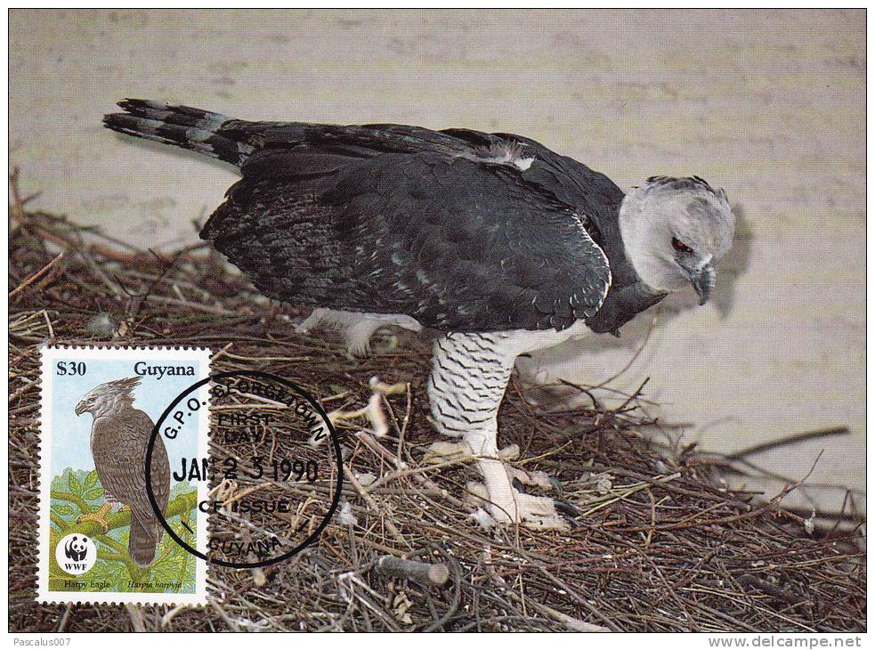 WWF - 089,34 - CM-MC - € 1,19 - 23-1-1990 - $30 - Harpy Eagle - Guyana 1095212 - Guyane (1966-...)