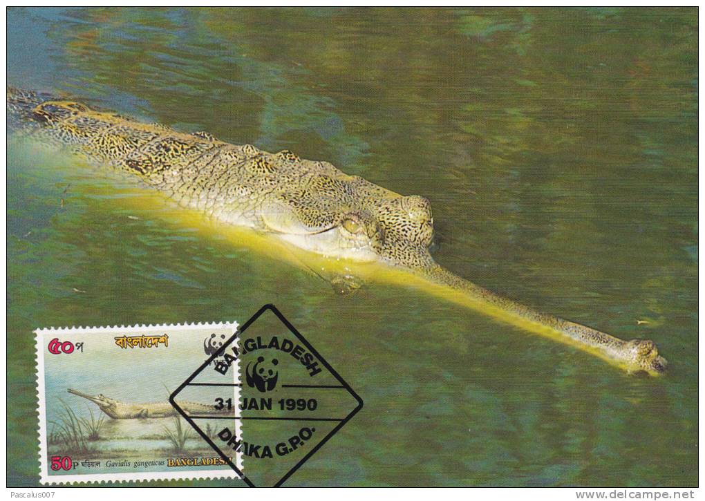 WWF - 090,31 - CM-MC - € 1,25 - 31-1-1990 - 50p - Gharial - Bangladesh 1087212 - Bangladesh