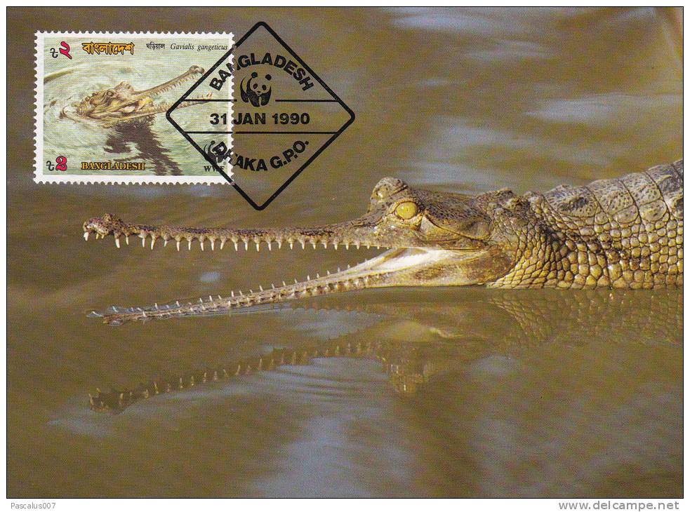 WWF - 090,32 - CM-MC - € 1,31 - 31-1-1990 - T2 - Gharial - Bangladesh 1087212 - Bangladesh