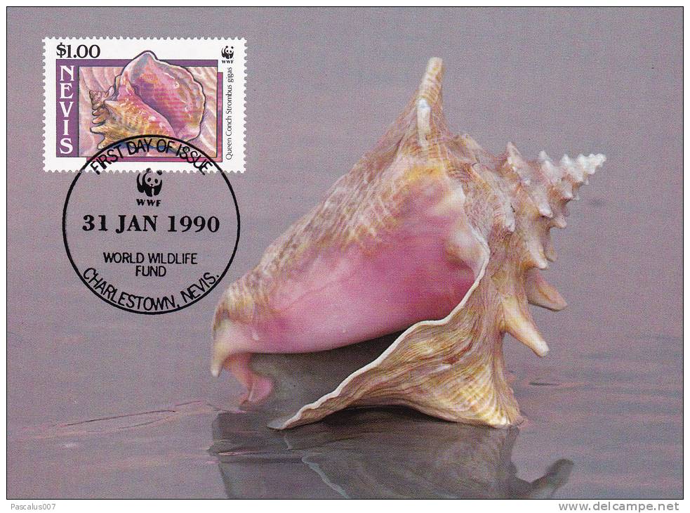 WWF - 091,34 - CM-MC - € 1,19 - 31-1-1990 - $1,00 - Queen Conch - Nevis 1086212 - St.Kitts-et-Nevis ( 1983-...)