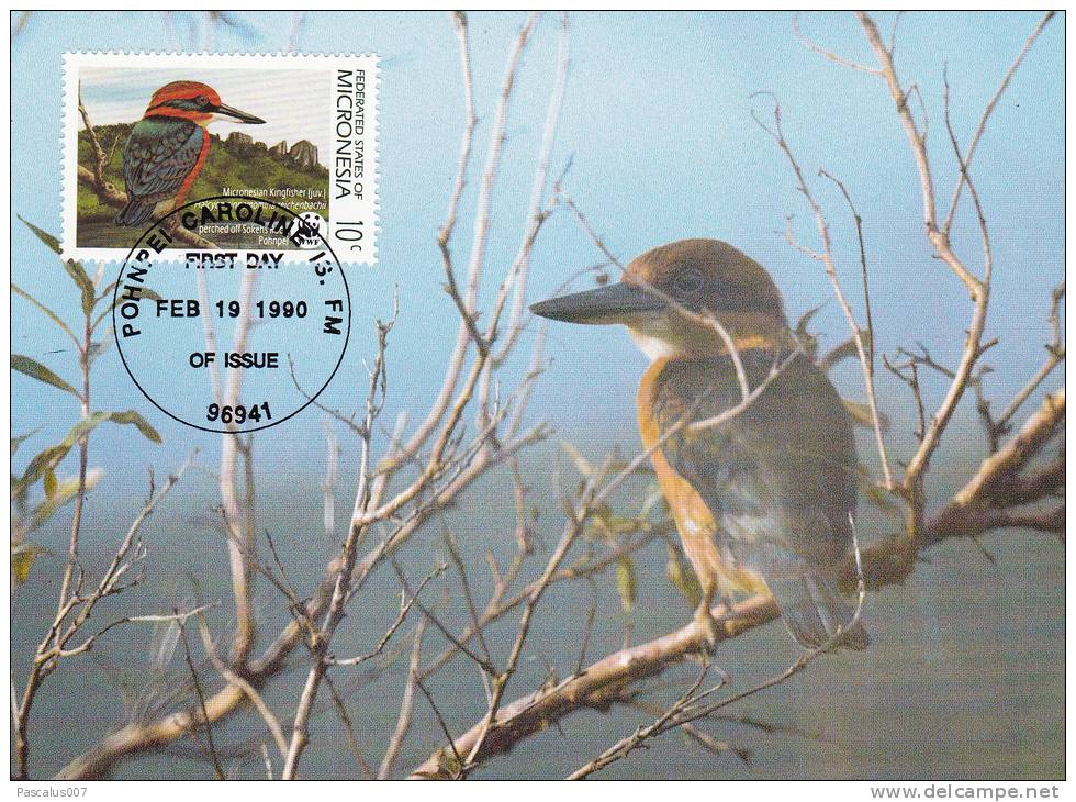 WWF - 093,31 - CM-MC - € 1,00 - 19-2-1990 - 10c - Birds Of Micronesia - Micronesia 1105212 - Micronésie