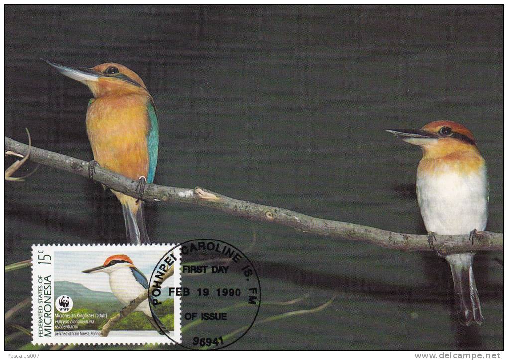 WWF - 093,32 - CM-MC - € 1,06 - 19-2-1990 - 15c - Birds Of Micronesia - Micronesia 1105212 - Micronesia