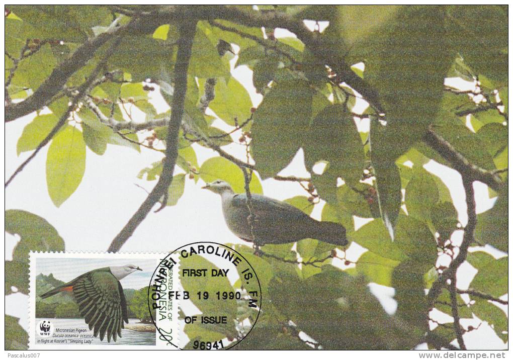 WWF - 093,33 - CM-MC - € 1,12 - 19-2-1990 - 20c - Birds Of Micronesia - Micronesia 1105212 - Micronésie