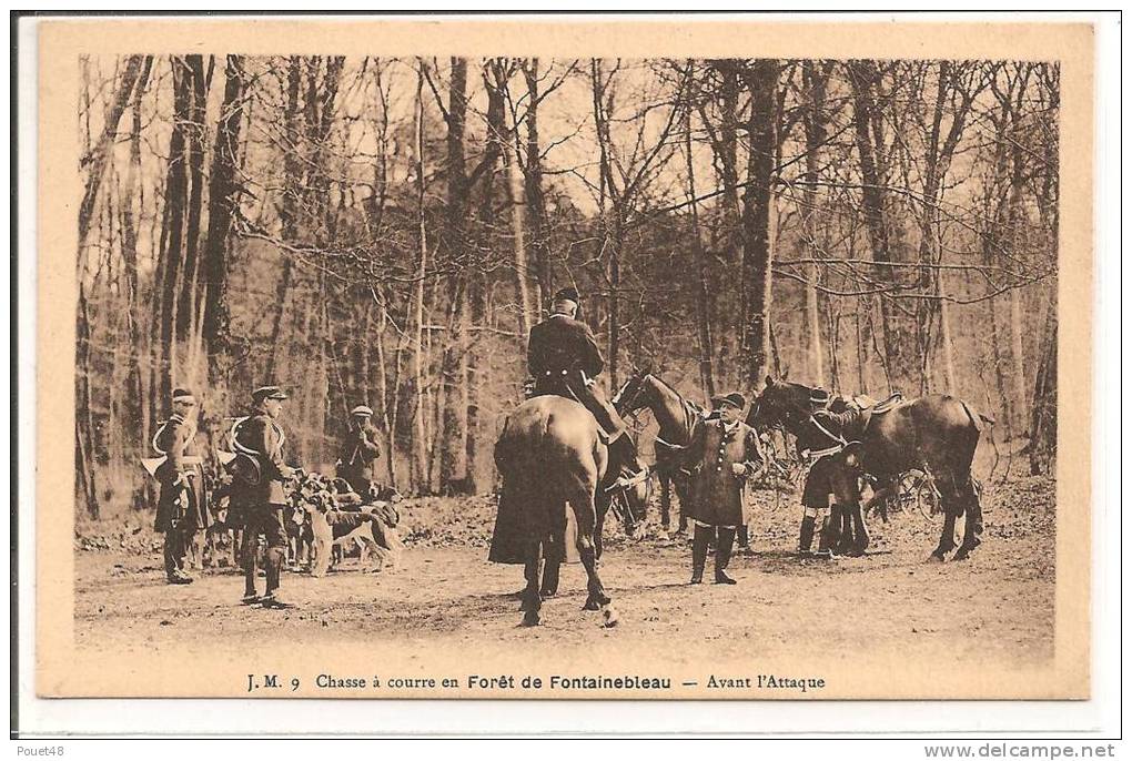 77 - FONTAINEBLEAU - Chasse à Courre - Avant L'Attaque - Fontainebleau