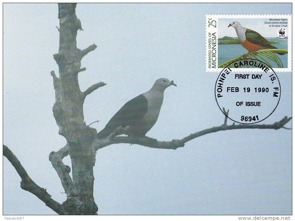 WWF - 093,34 - CM-MC - € 1,19 - 19-2-1990 - . - Birds Of Micronesia - Micronesia 1105212 - Mikronesien