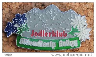 JODLERKLUB BLÜEMLISALP BRÜGG - JODLER CLUB - EDELWEISS     -     (ROUGE) - Music