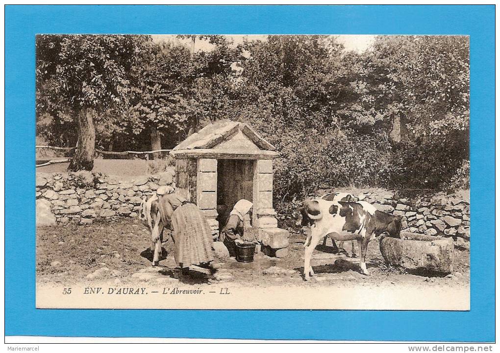 D56 - L'ABREUVOIR - ENVIRONS D'AURAY (VACHES) - état Voir Descriptif - Autres & Non Classés