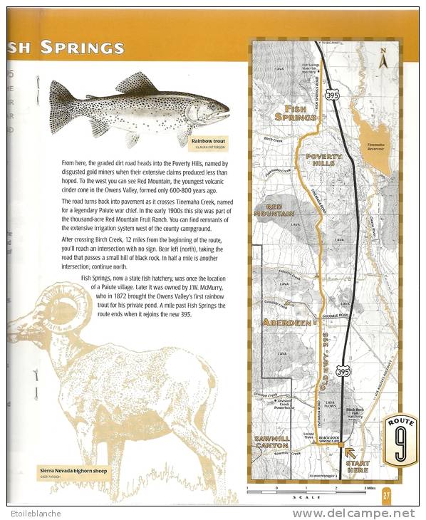 California, Eastern Sierra, Death Valley - Motor Touring - Guide De Voyage Vallée De La Mort Californie - North America