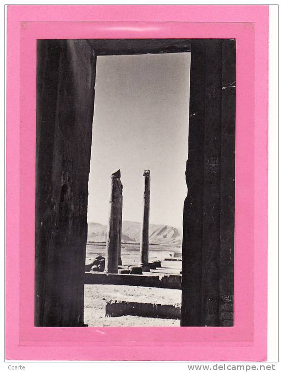 IRAN / PERSEPOLIS / L'Apadana: Palais De Darius / Photo Des Années 50/60 - Iran