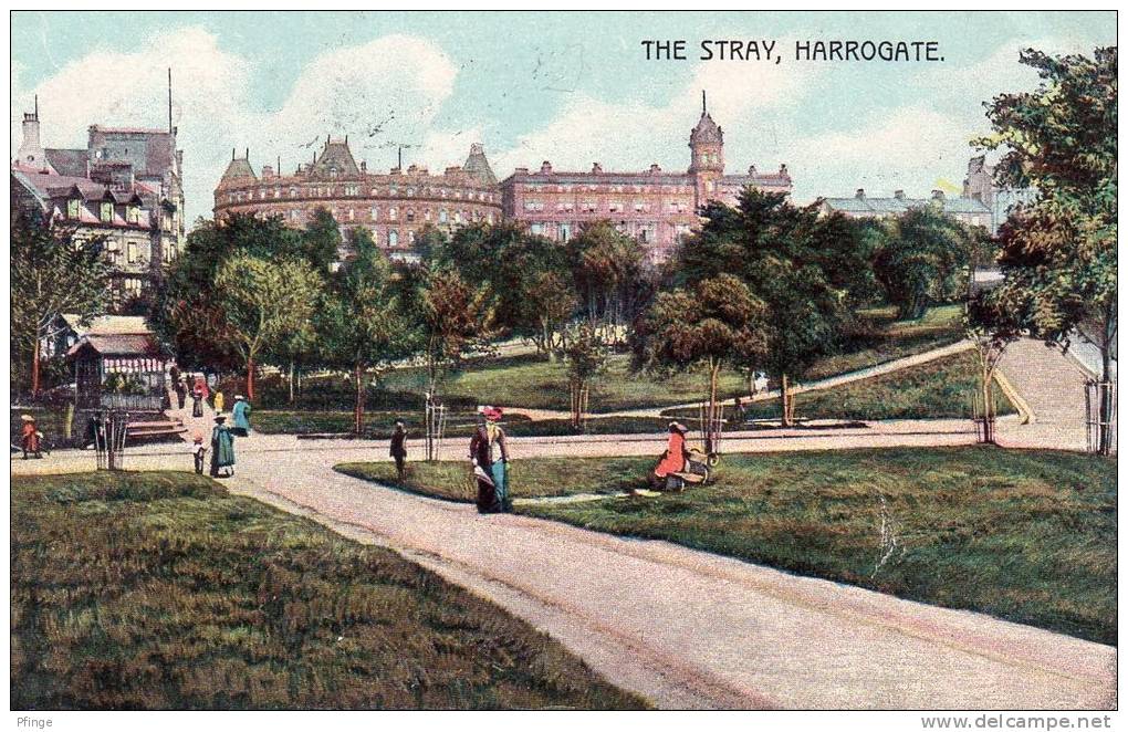 Harrohate - The Stray - Harrogate