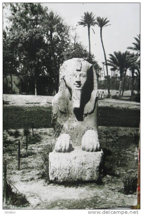 Sphinx Giza - Assouan