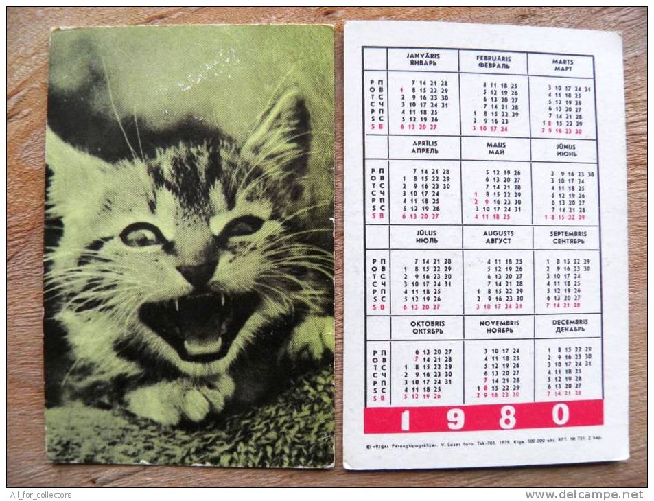 Small Calendar From USSR Latvia 1980, Cat - Petit Format : 1971-80